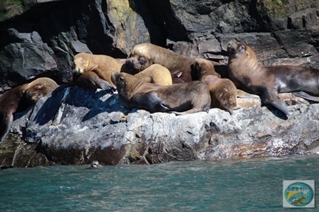 Fotos da pesca esportiva em Chaiten no Chile